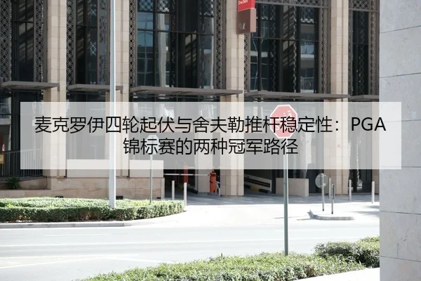 mai-ke-luo-yi-si-lun-qi-fu-yu-she-fu-lei-tui-gan-wen-ding-xing-jin-biao-sai-de-liang-zhong-guan-jun-lu-jing-2-546.jpg